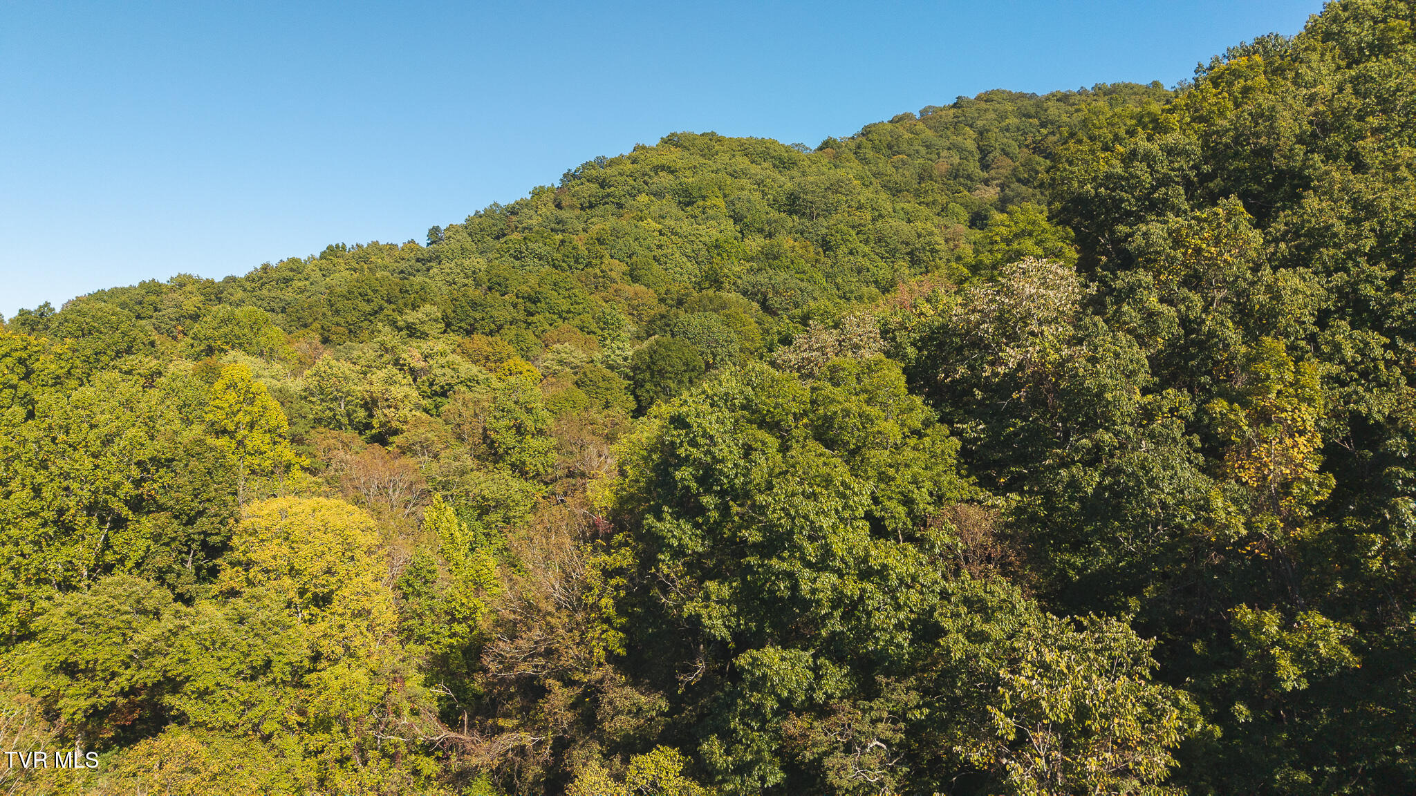 69.26-acre Wolfe Road Sneedville, TN 37869 - Photo 7 of 27 DJI_20251001163513_0411_D