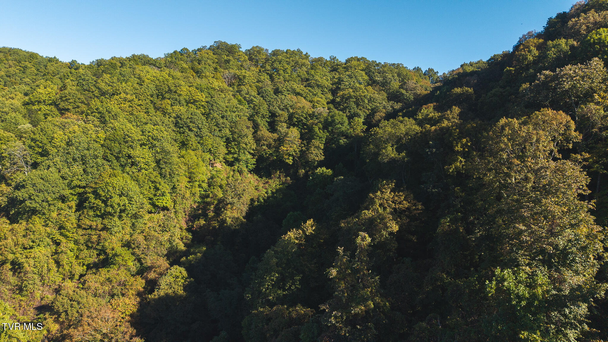 69.26-acre Wolfe Road Sneedville, TN 37869 - Photo 8 of 27 DJI_20251001164324_0414_D