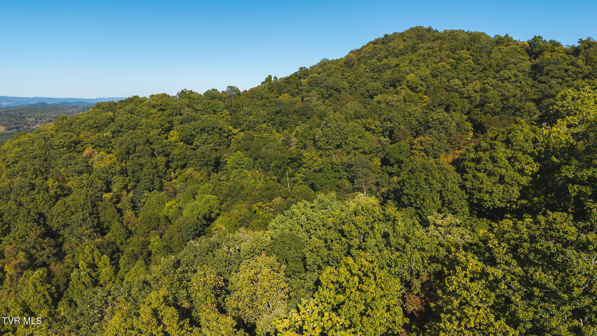69.26-acre Wolfe Road Sneedville, TN 37869 - Photo 10 of 27 DJI_20251001164505_0418_D