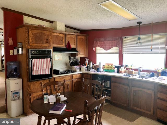 2679 Pearsons Corner Road Dover, DE 19904 - Photo 9 of 16