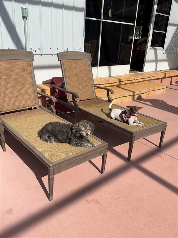 17725 Powerline Road Dade City, FL 33523 - Photo 14 of 42