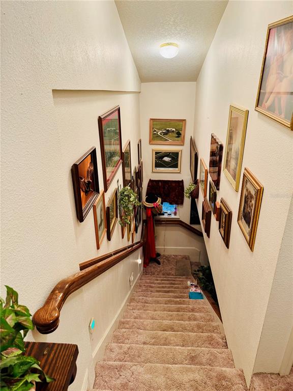 17725 Powerline Road Dade City, FL 33523 - Photo 25 of 42