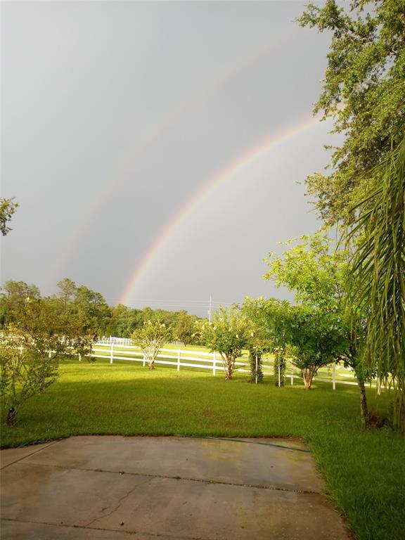 17725 Powerline Road Dade City, FL 33523 - Photo 30 of 42