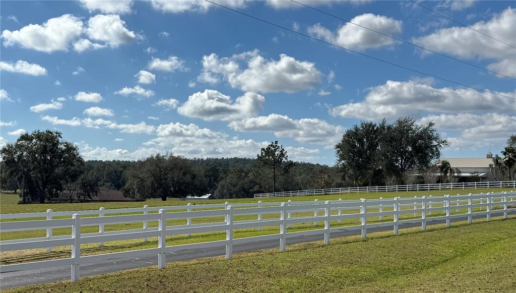 17725 Powerline Road Dade City, FL 33523 - Photo 31 of 42