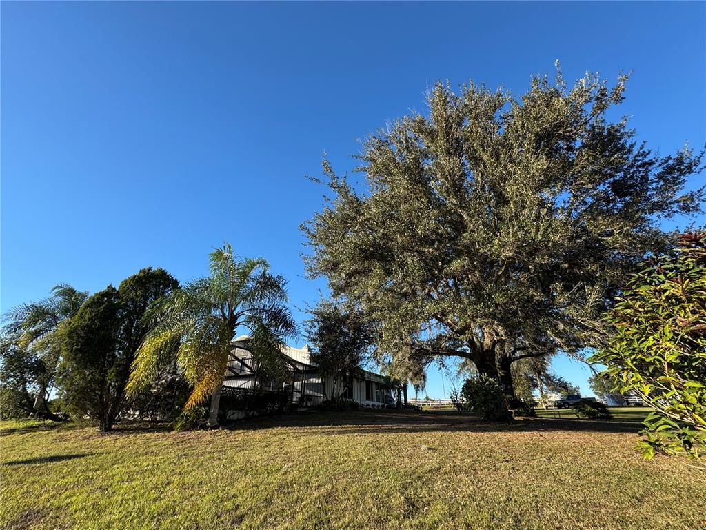 17725 Powerline Road Dade City, FL 33523 - Photo 32 of 42