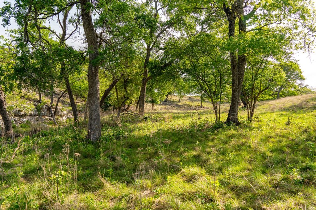862 Grape Creek Road Fredericksburg, TX 78624 - Photo 79 of 91