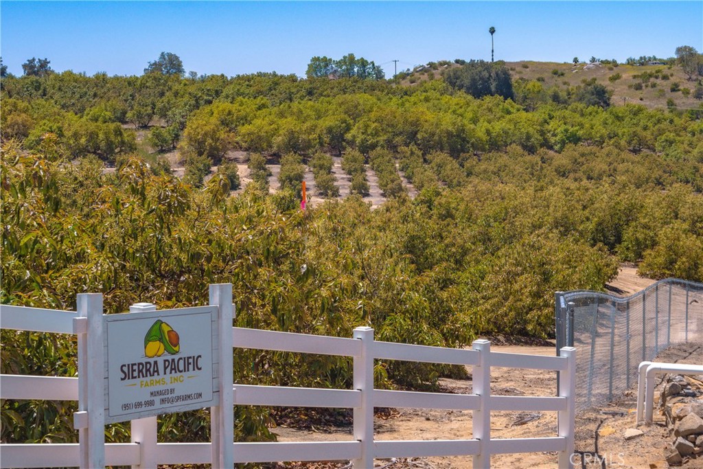 2526 Camaron Road Temecula, CA 92590 - Photo 11 of 34 Professionally managed by Sierra Pacic Farms. Vinyl fencing along frontage.