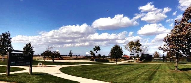 1315 West Ridge Lane Champaign, IL 61822 - Photo 96 of 102