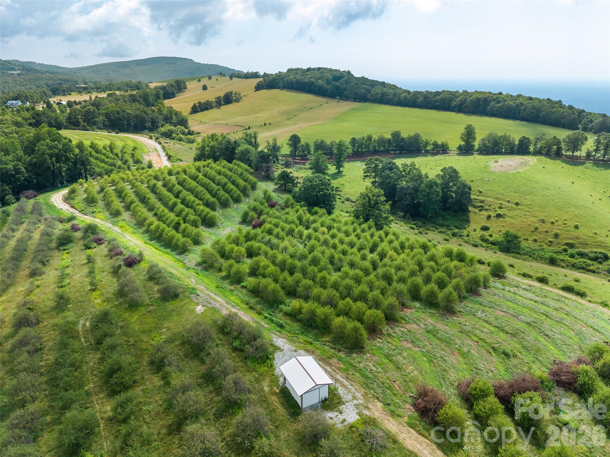 0 Summer Road, Unit 2 Hendersonville, NC 28792 - Photo 4 of 16