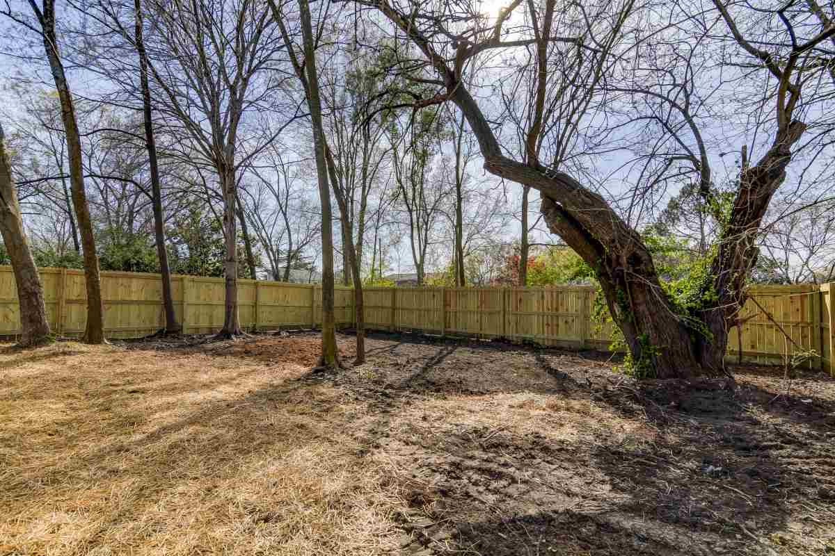 734 Quarry Street Raleigh, NC 27601 - Photo 22 of 22 Photo 22