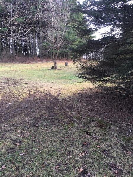 152 McKean Road Freeport, PA 16229 - Photo 7 of 23