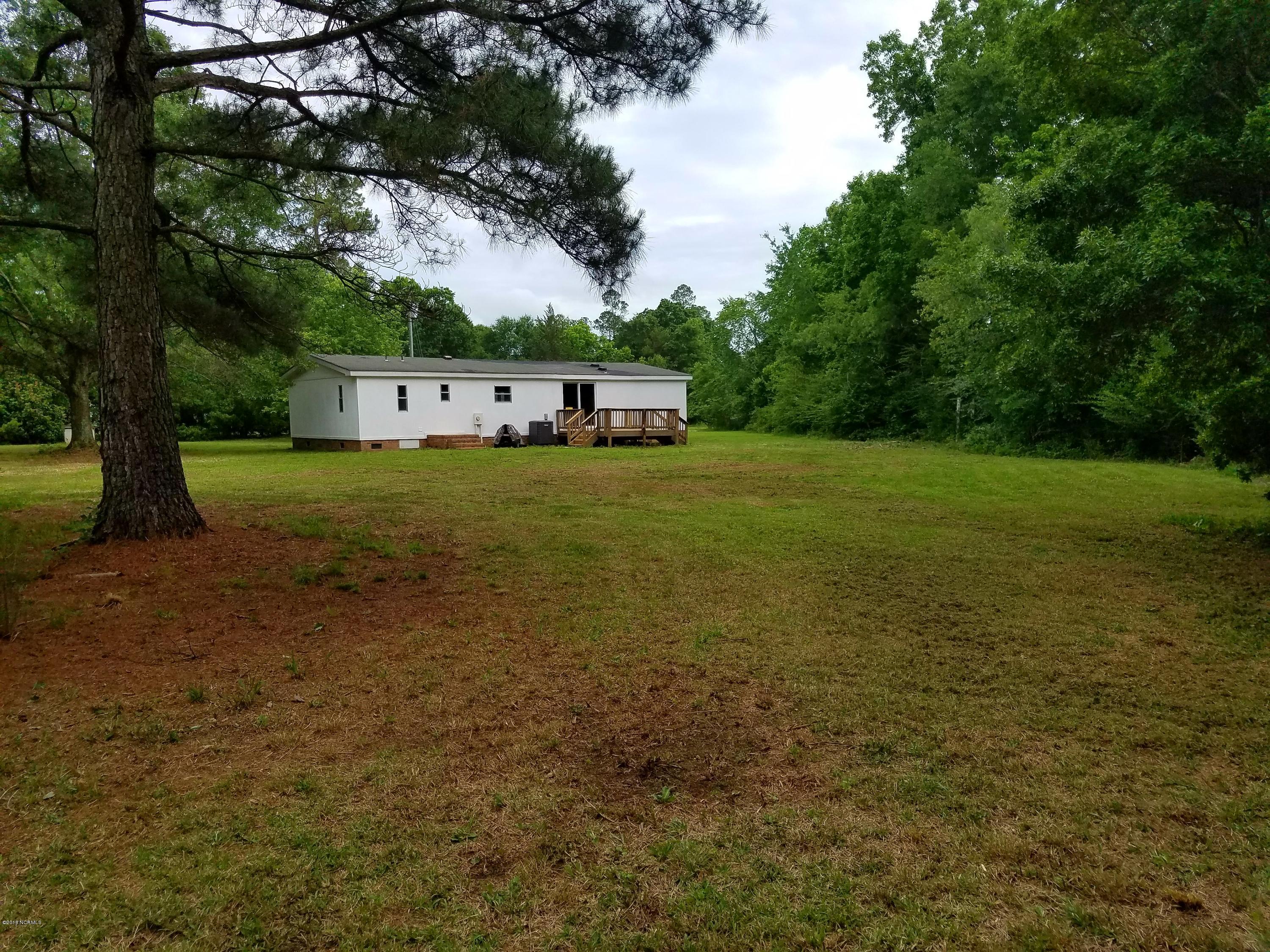 back yard 3