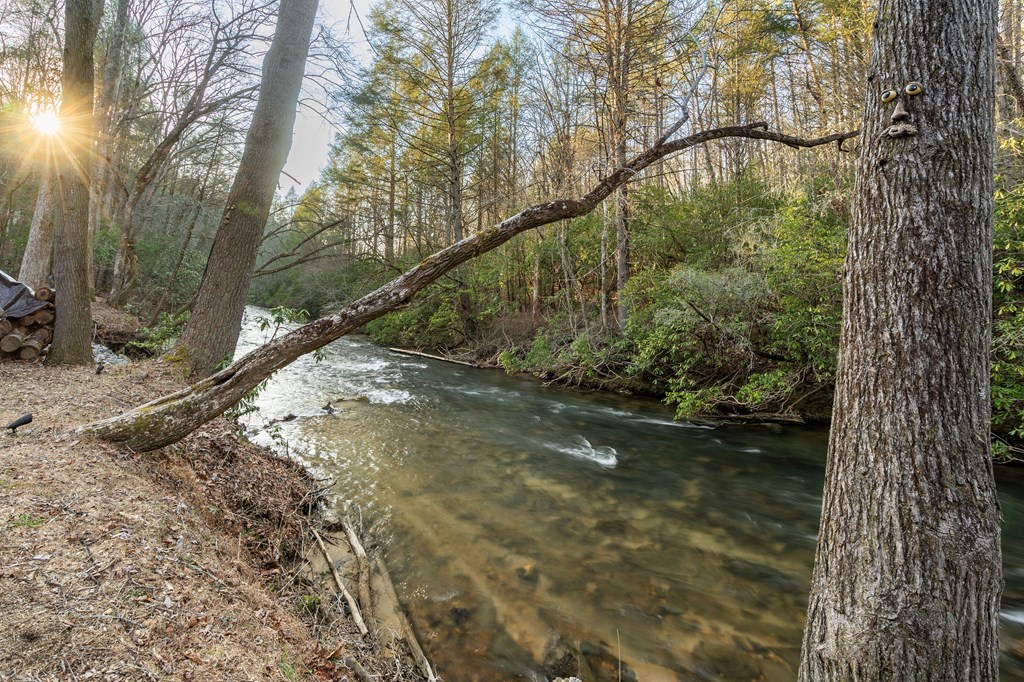 304 Hemlock Trail Blue Ridge, GA 30513 - Photo 52 of 74