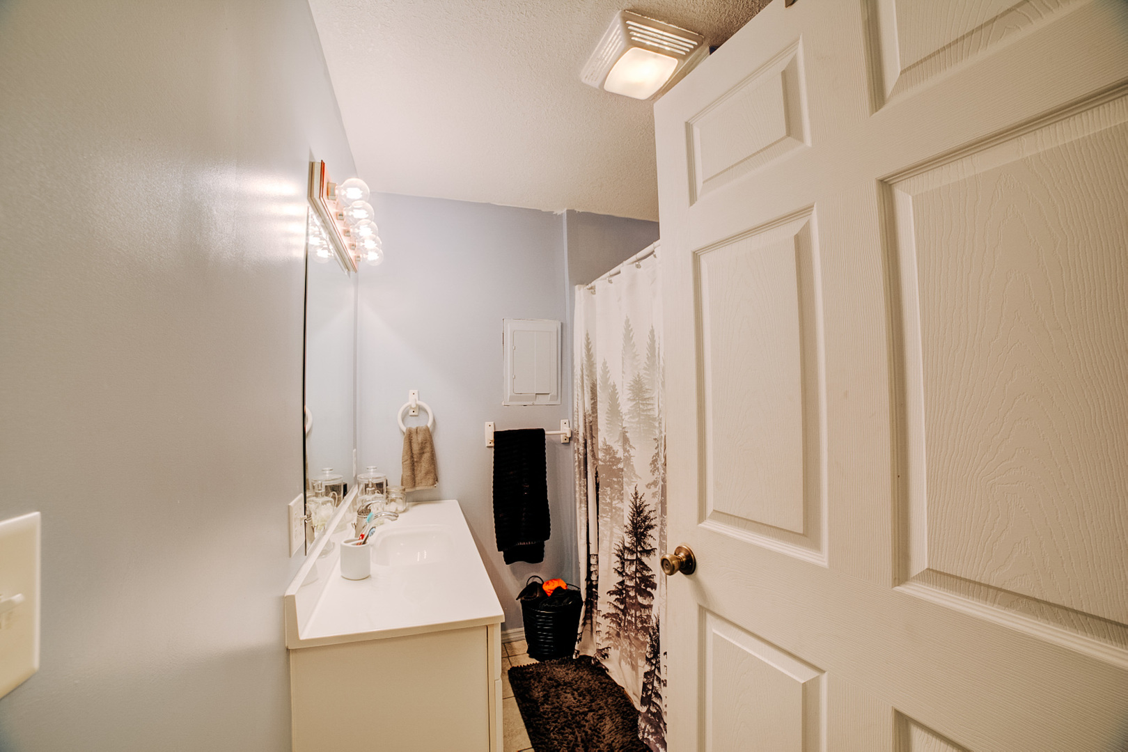 1500 East 2400th Road North, Unit 66 Ashkum, IL 60911 - Photo 15 of 37 a bathroom with a sink a mirror and shower curtain