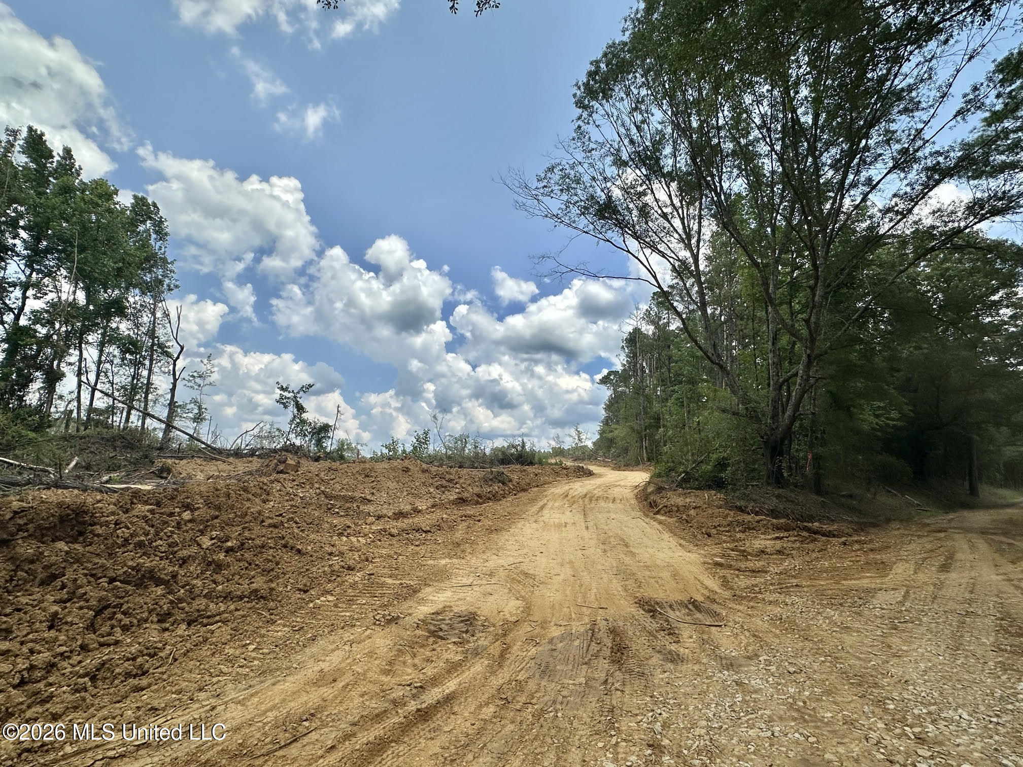 5 Scarborough Road Carthage, MS 39051 - Photo 34 of 43 190