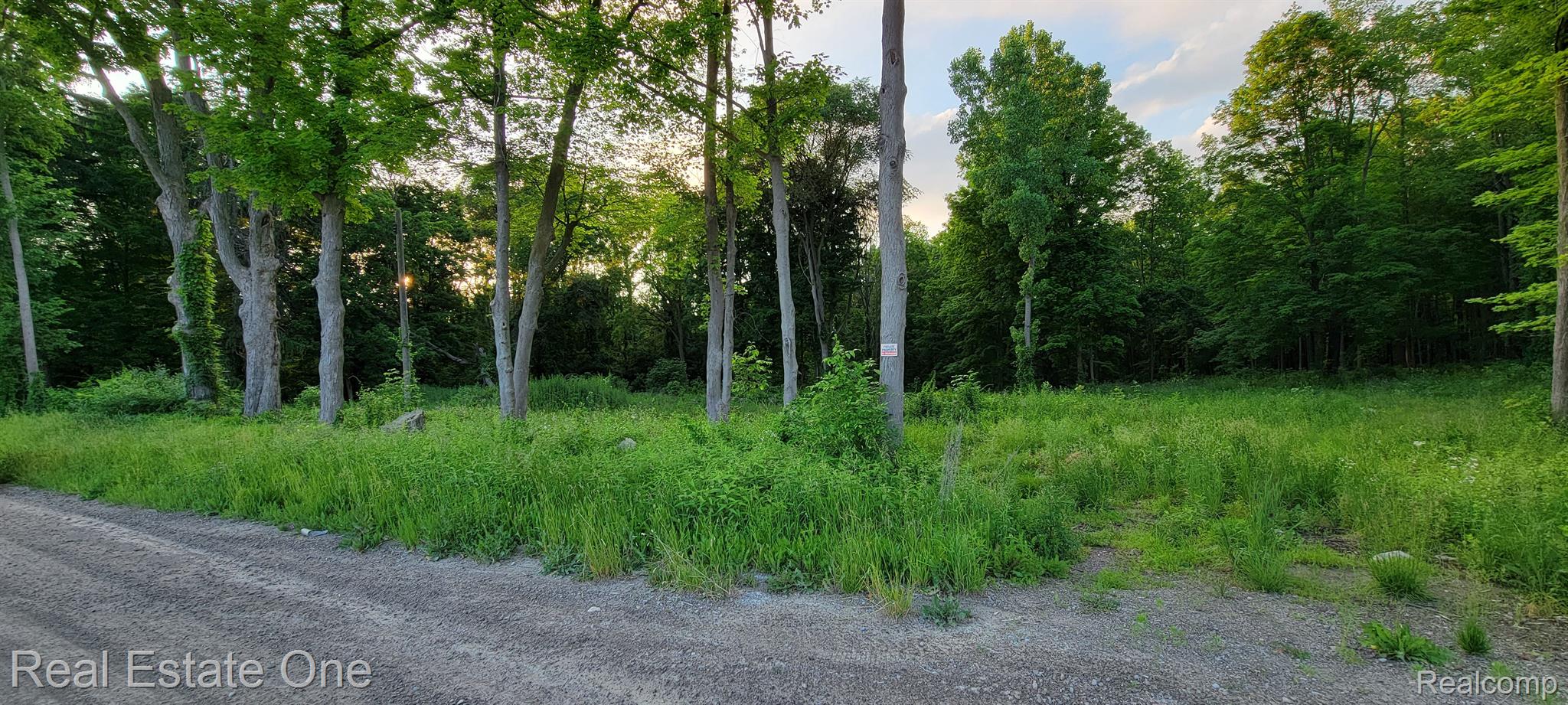 Parcel C McClements Road Brighton, MI 48114 - Photo 1 of 8 Roadside Frontage