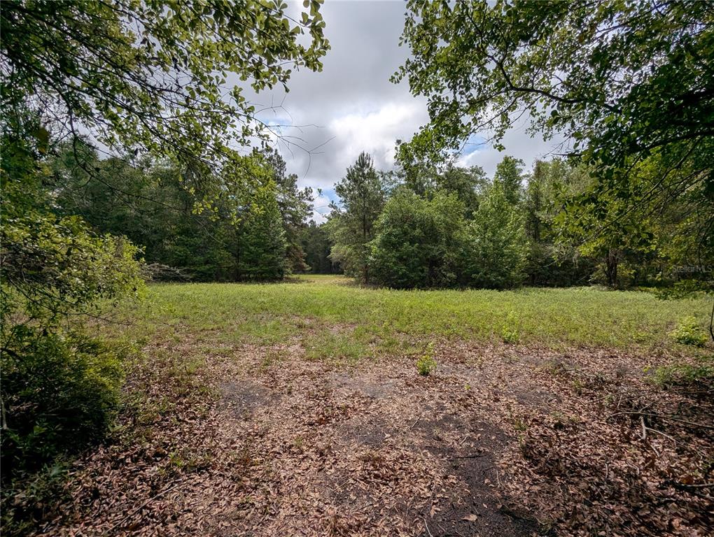 91st Street Alachua, FL 32615 - Photo 24 of 36 a view of a garden with a tree