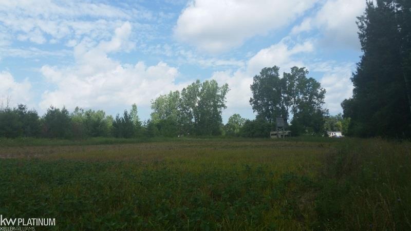 1460 North Ridge Road Carsonville, MI 48419 - Photo 26 of 49