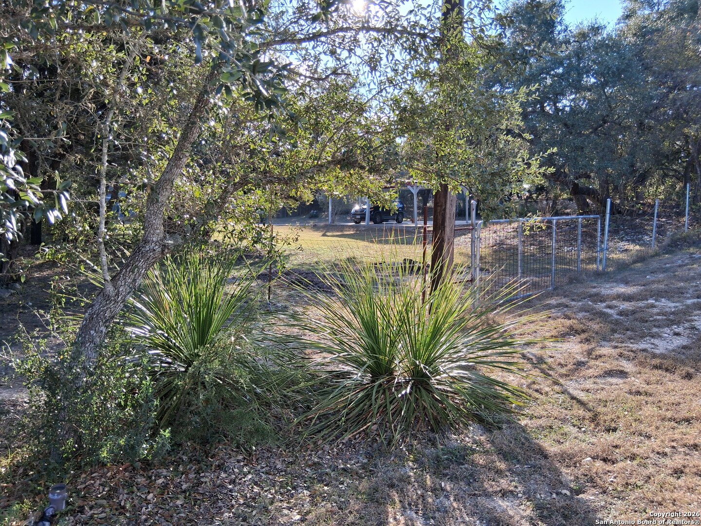 7061 Devonshire Drive Spring Branch, TX 78070 - Photo 46 of 52 a view of outdoor space and tree