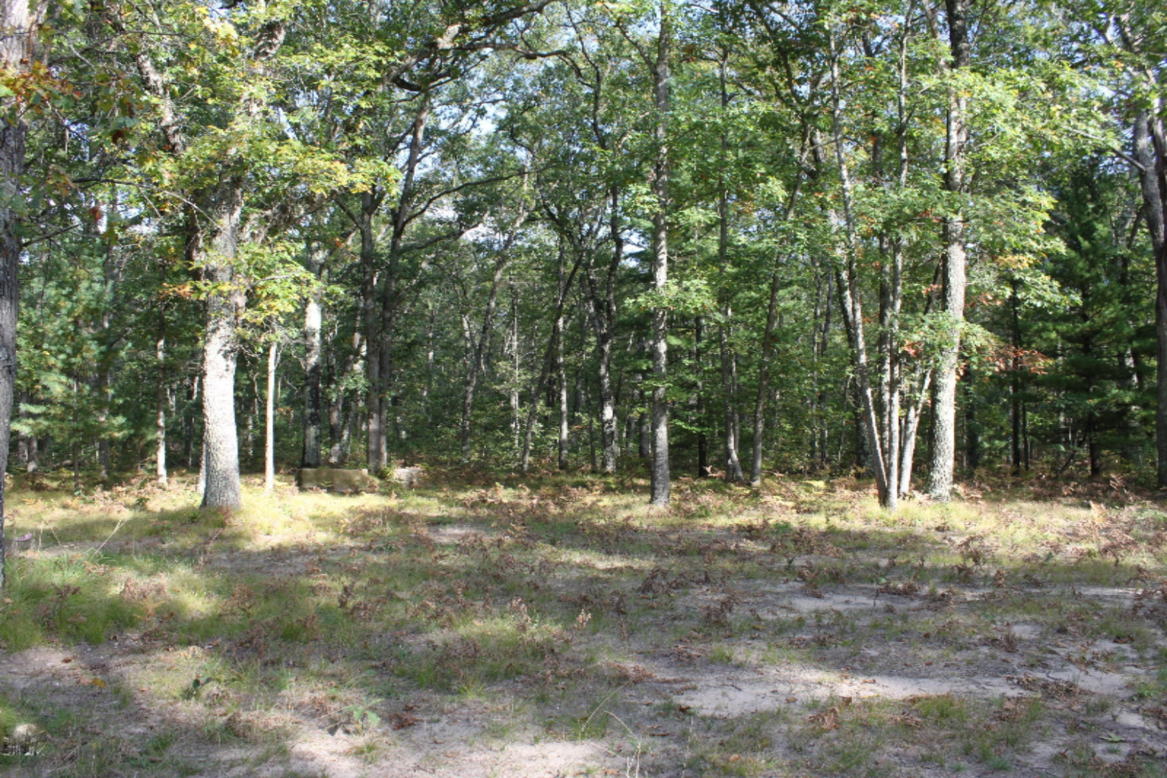 10412 North Dexter Road Irons, MI 49644 - Photo 33 of 38 IMG_9763