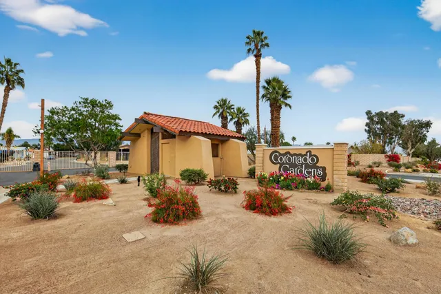 a row of potted plants and large trees