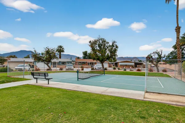 a park with lots of trees and plants