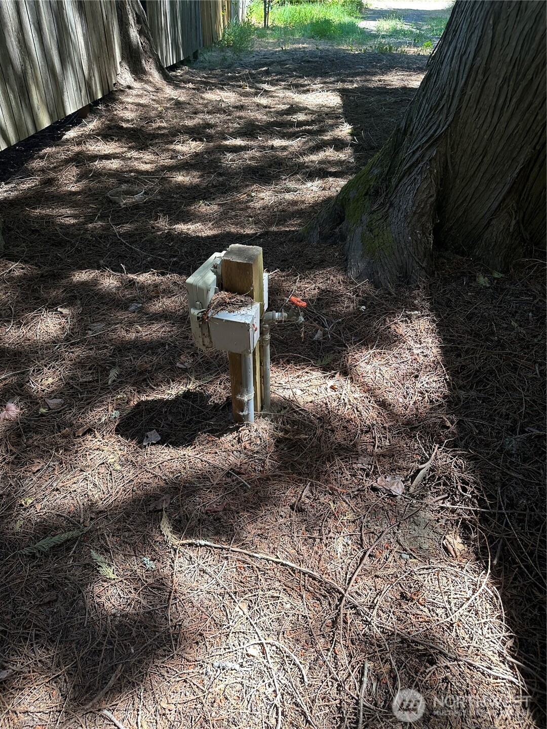 301 McElroy Road Cle Elum, WA 98922 - Photo 13 of 19 a view of a backyard of a house