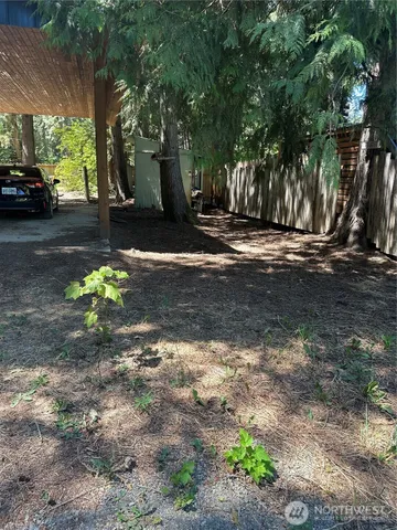 a view of a yard with a tree