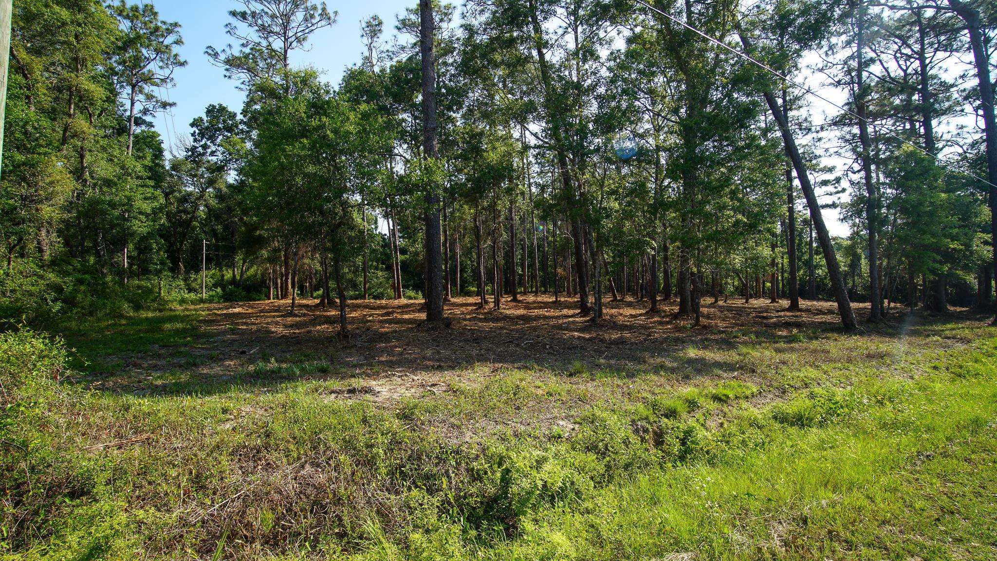 0 Antietam Road Lillian, AL 36549 - Photo 27 of 32