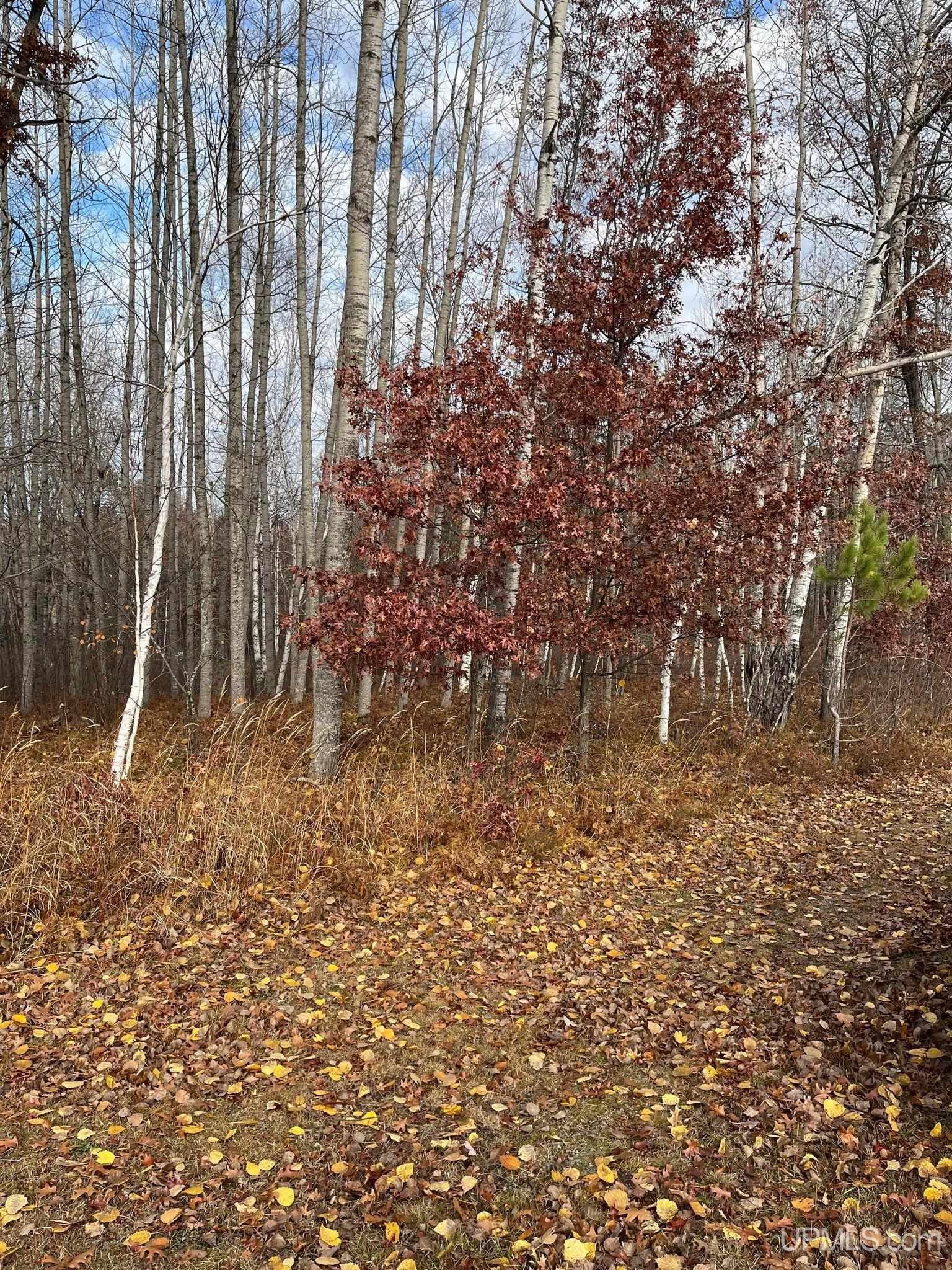 41 & 42 Frog Lake Road Florence, WI 54121 - Photo 2 of 7