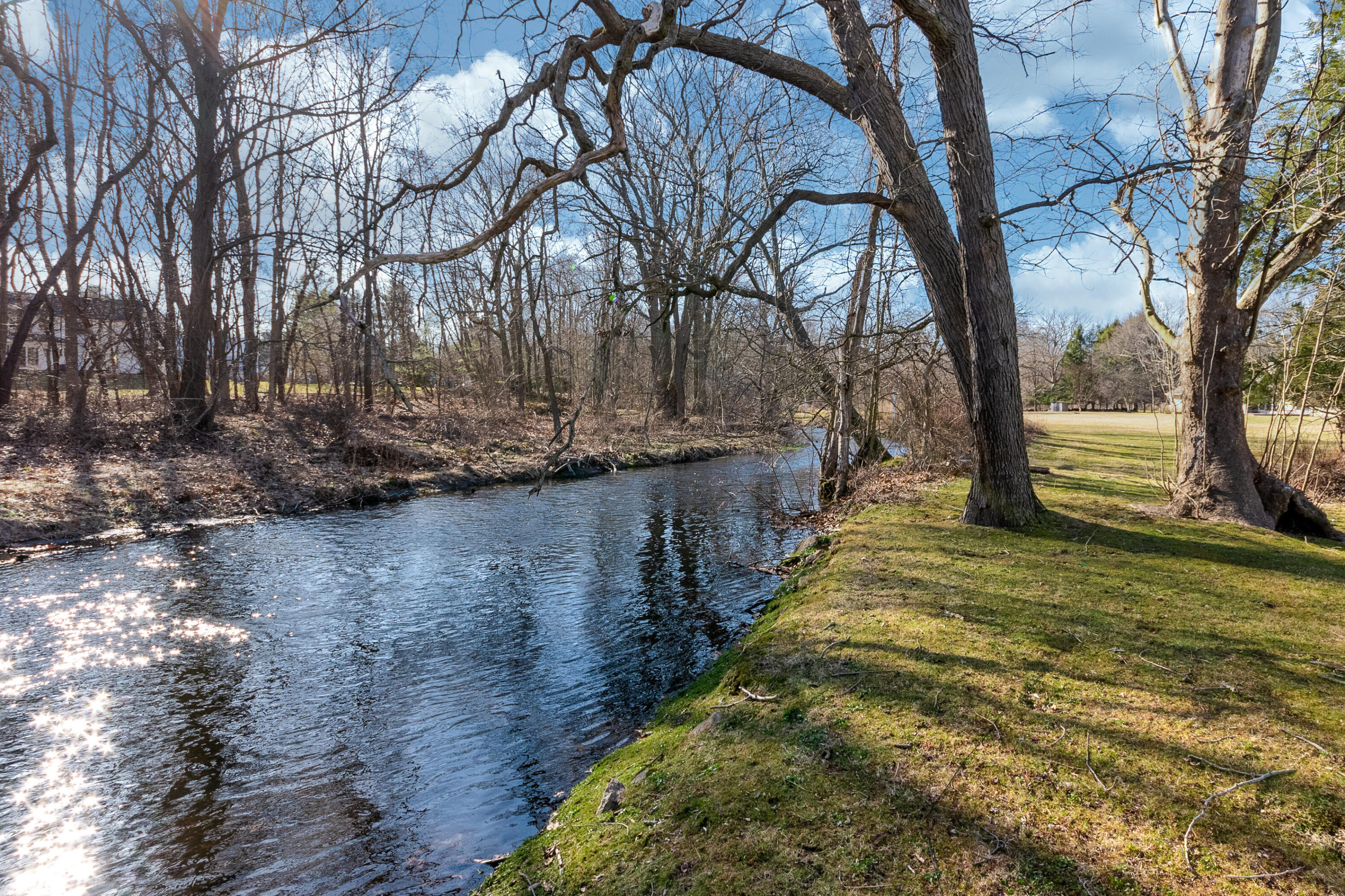 11 Cottontail Road Norwalk, CT 06854 - Photo 39 of 47 a view of a yard with large trees