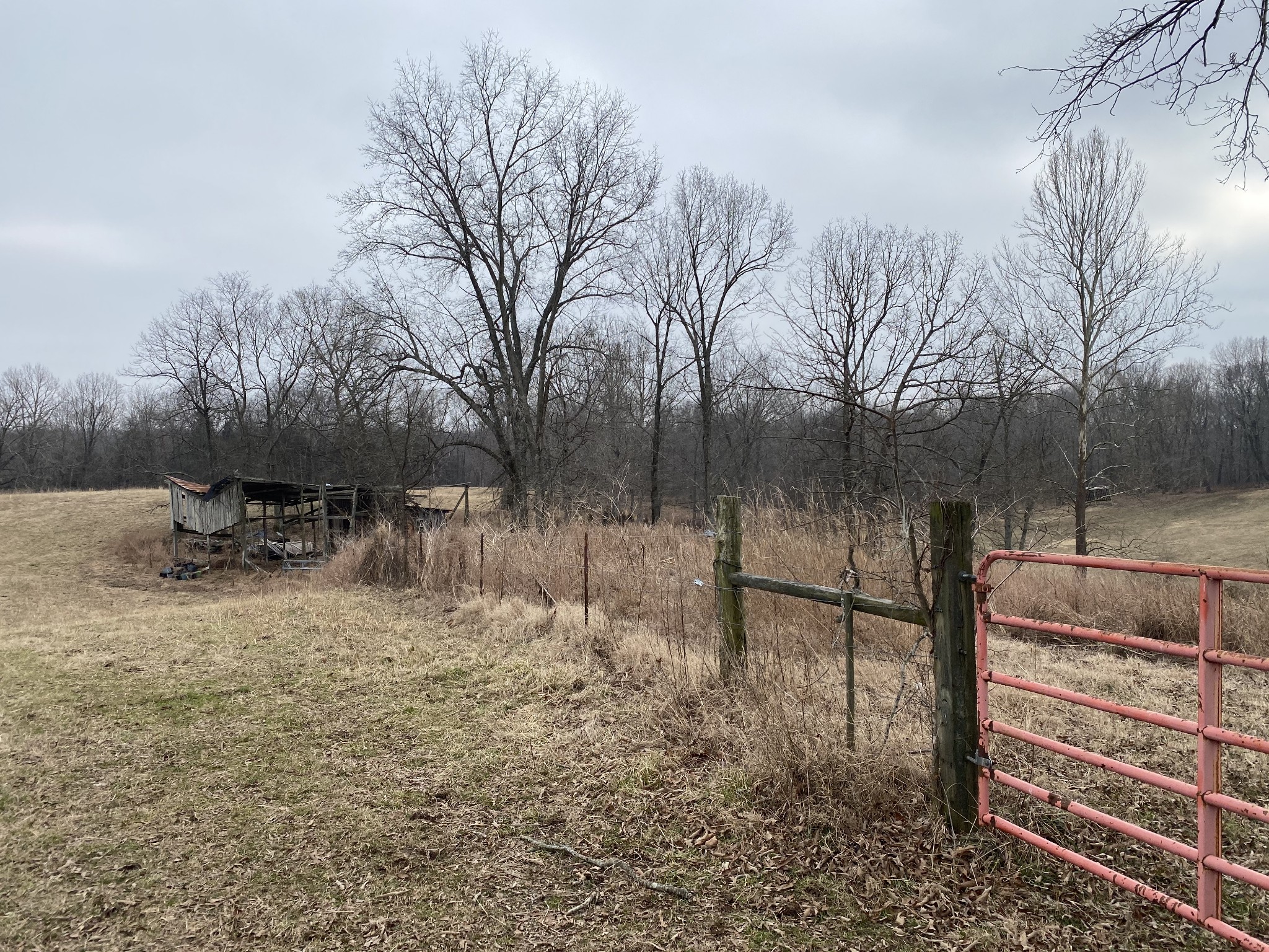 3349 Knight Road Woodlawn, TN 37191 - Photo 45 of 49 Gallery Image 45
