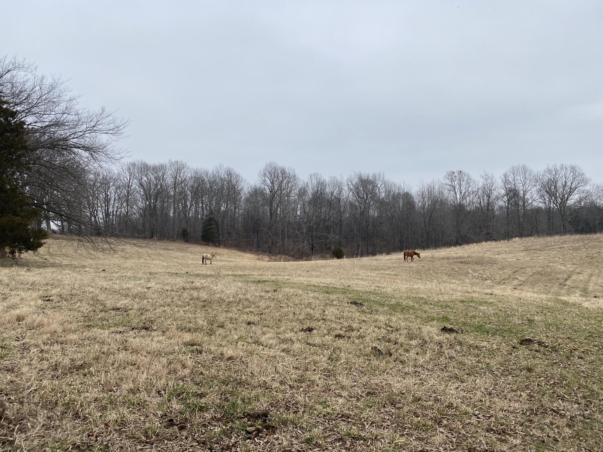 3349 Knight Road Woodlawn, TN 37191 - Photo 46 of 49 Gallery Image 46