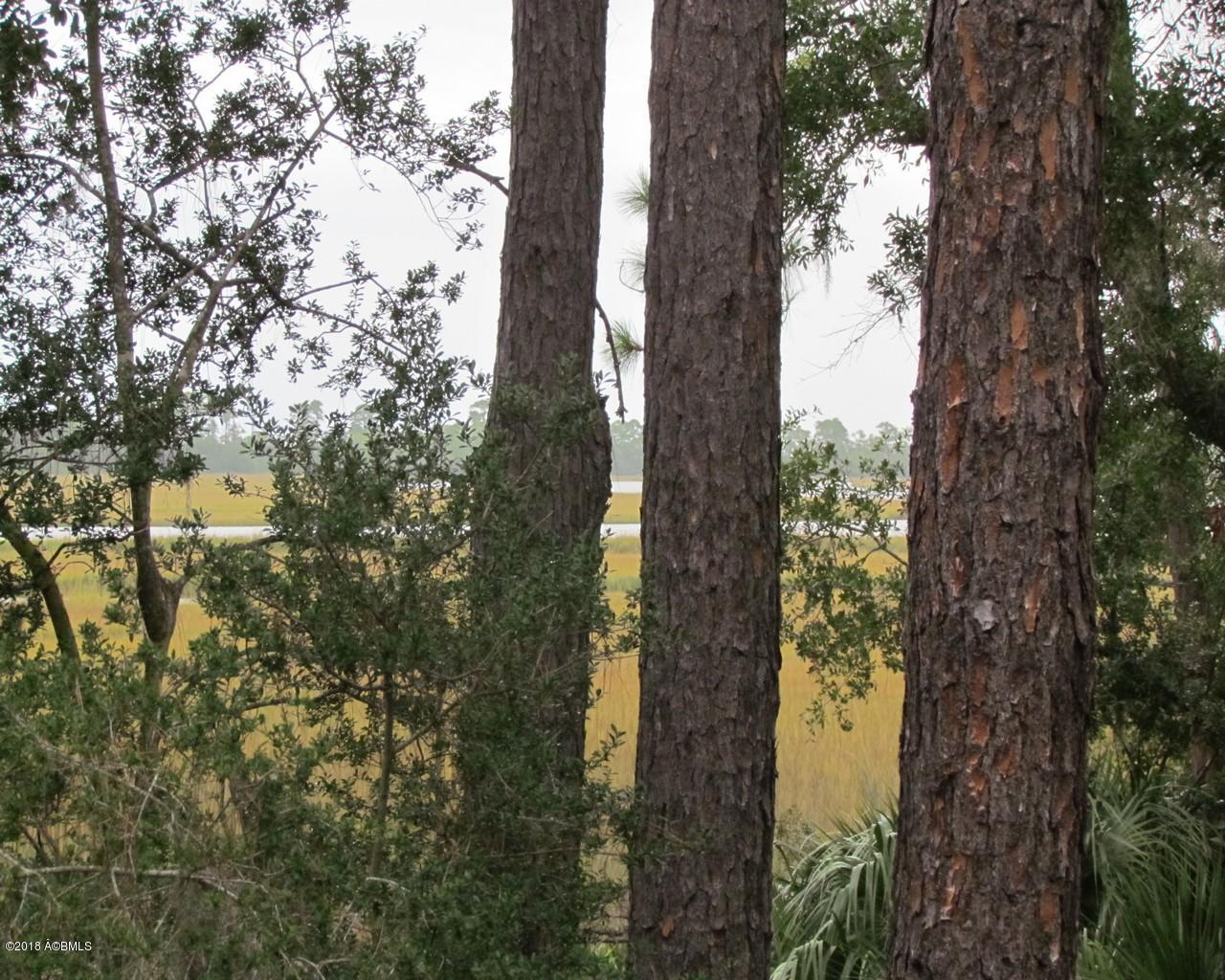 355 Blue Gill Road Fripp Island, SC 29920 - Photo 1 of 18 1.MarshWater View
