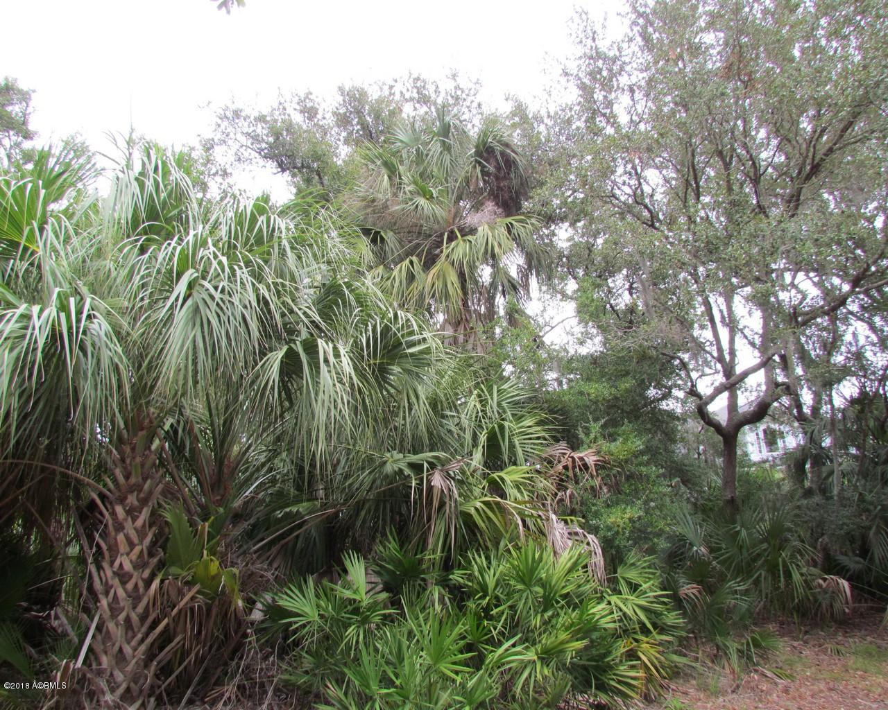 355 Blue Gill Road Fripp Island, SC 29920 - Photo 2 of 18 2.355 Blue Gill Rd