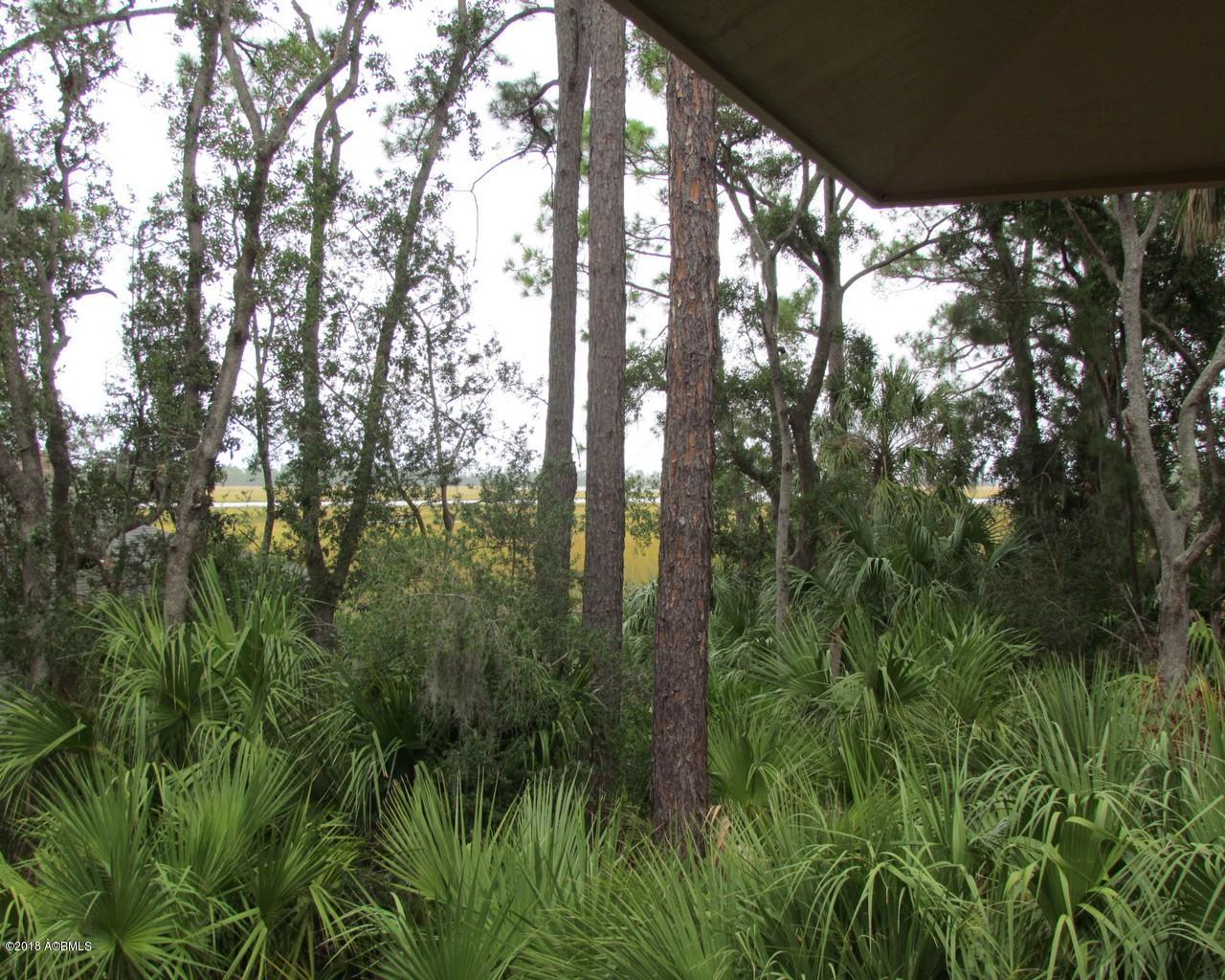 355 Blue Gill Road Fripp Island, SC 29920 - Photo 3 of 18 3.Marsh View