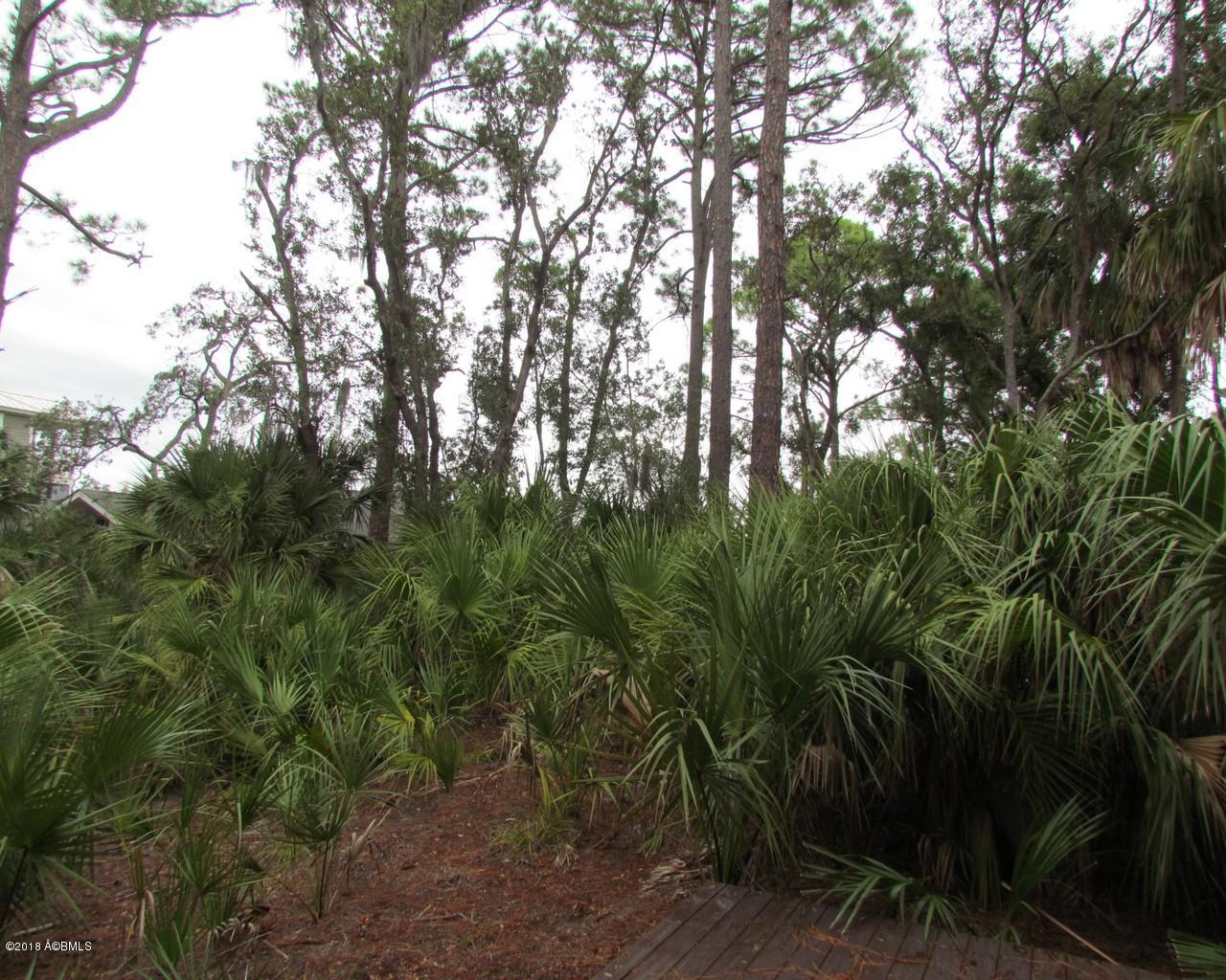 355 Blue Gill Road Fripp Island, SC 29920 - Photo 5 of 18 5.Lot