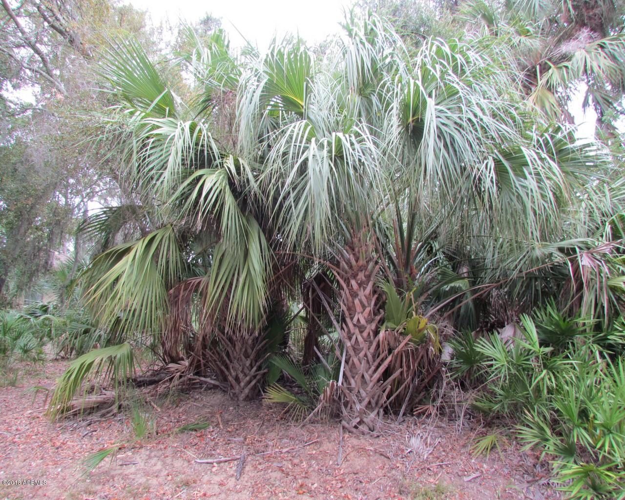 355 Blue Gill Road Fripp Island, SC 29920 - Photo 6 of 18 6.Lot
