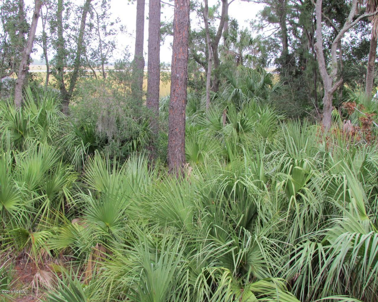 355 Blue Gill Road Fripp Island, SC 29920 - Photo 7 of 18 7.Lot