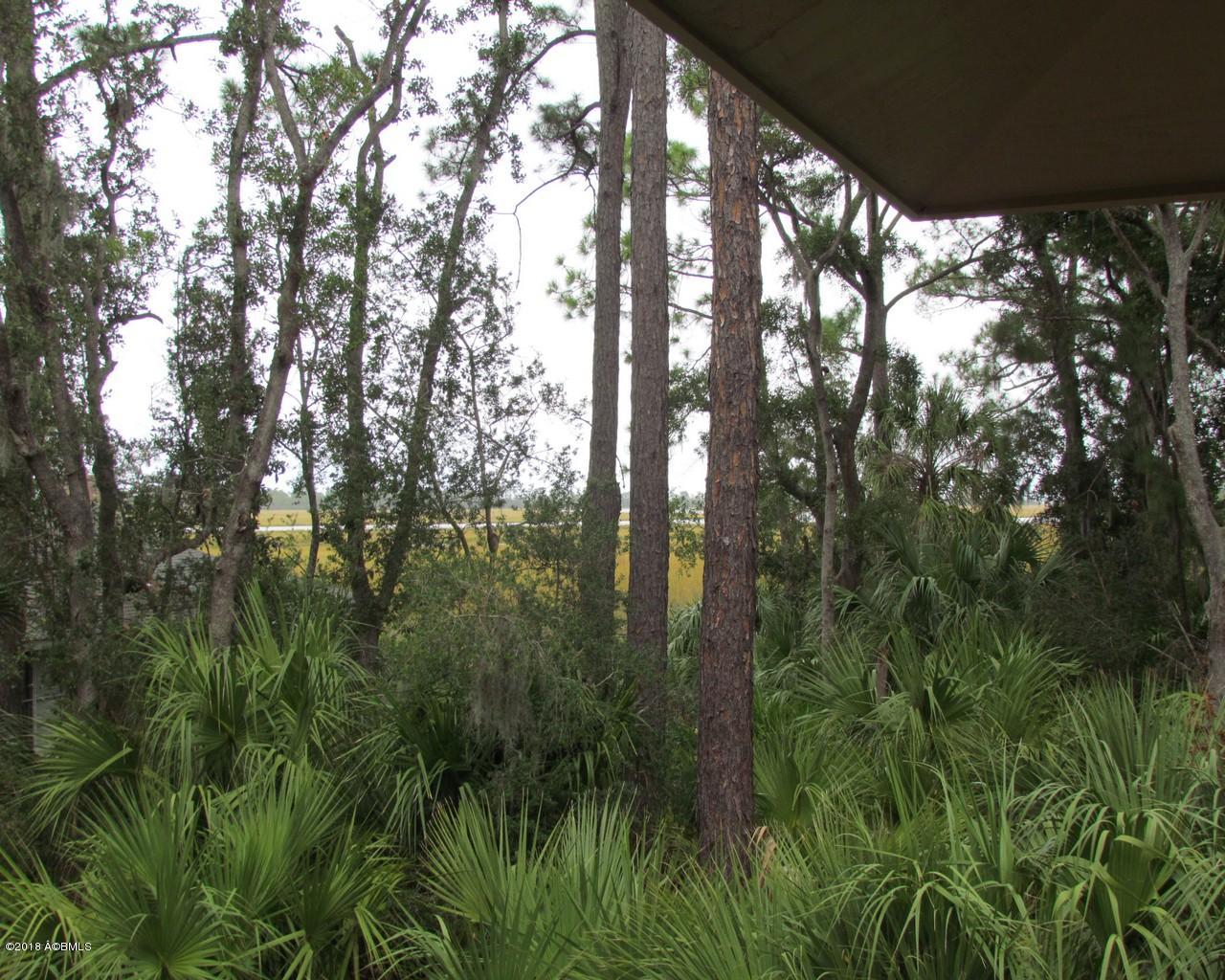 355 Blue Gill Road Fripp Island, SC 29920 - Photo 8 of 18 7a.View
