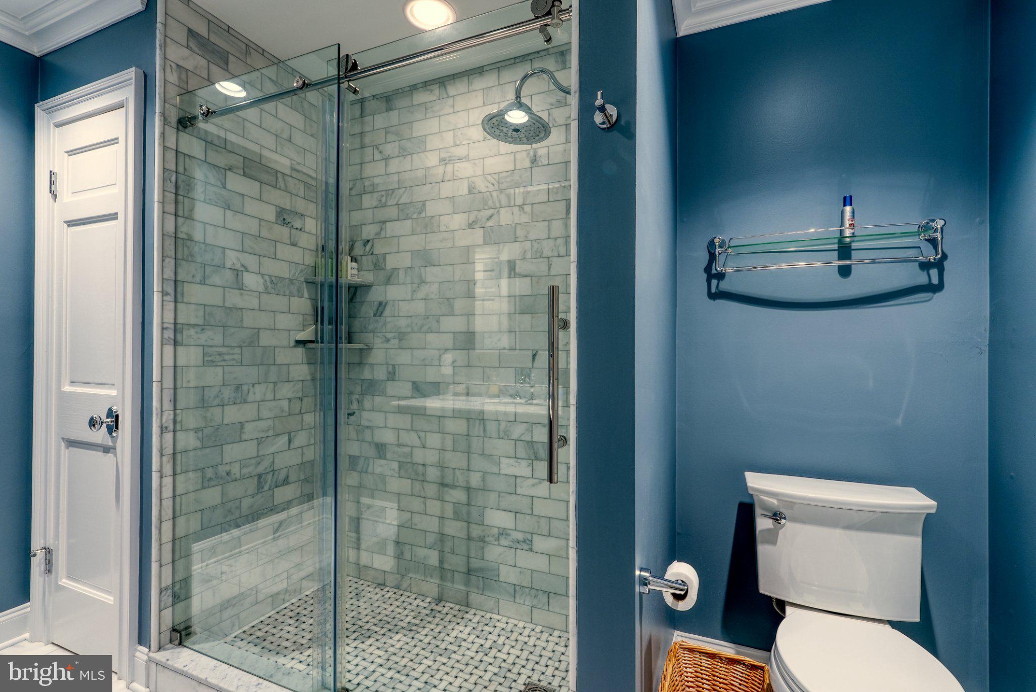 928 Swamp Road Furlong, PA 18925 - Photo 46 of 85 Sleek modern shower with elegant tiles.