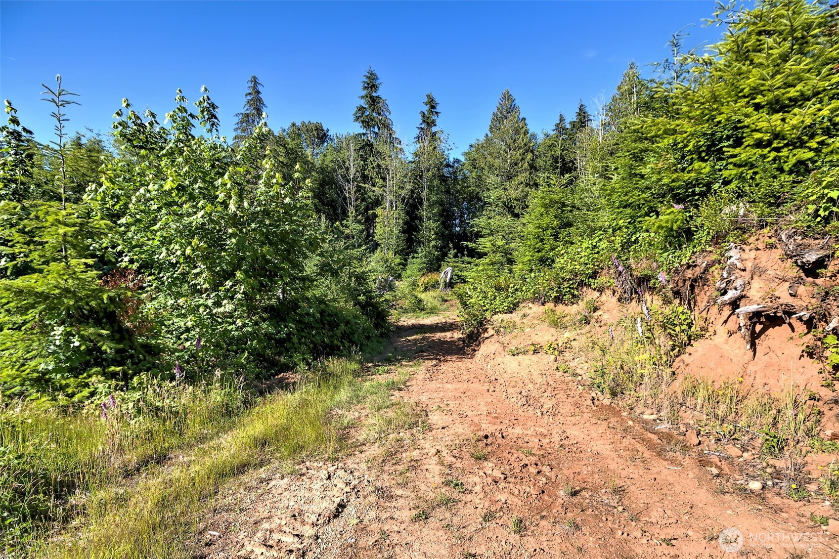 434 West Bulb Farm Road Shelton, WA 98584 - Photo 20 of 24 Gallery Image 20