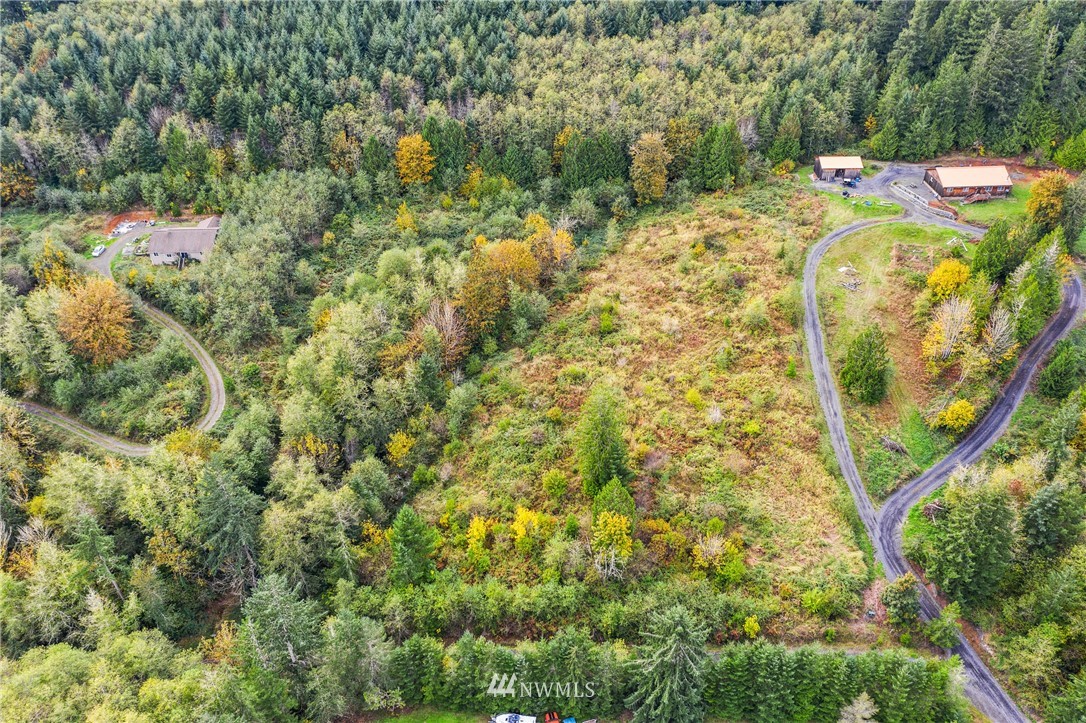 0 Brier Road Centralia, WA 98531 - Photo 3 of 3 Gallery Image 3