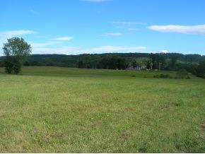 225 Speedwell Road Rogersville, TN 37857 - Photo 1 of 6 Photo 1