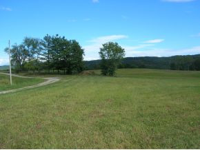 225 Speedwell Road Rogersville, TN 37857 - Photo 3 of 6 Photo 3