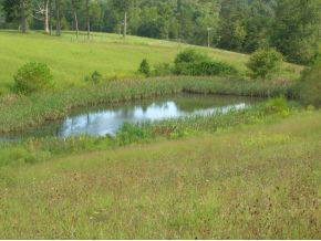 225 Speedwell Road Rogersville, TN 37857 - Photo 4 of 6 Photo 4
