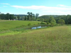 225 Speedwell Road Rogersville, TN 37857 - Photo 5 of 6 Photo 5