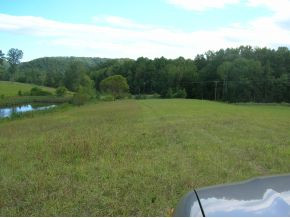 225 Speedwell Road Rogersville, TN 37857 - Photo 6 of 6 Photo 6