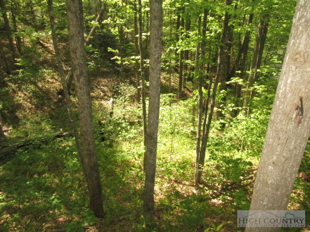 528 River Hollow Road Newland, NC 28657 - Photo 3 of 12 Gallery Image 3