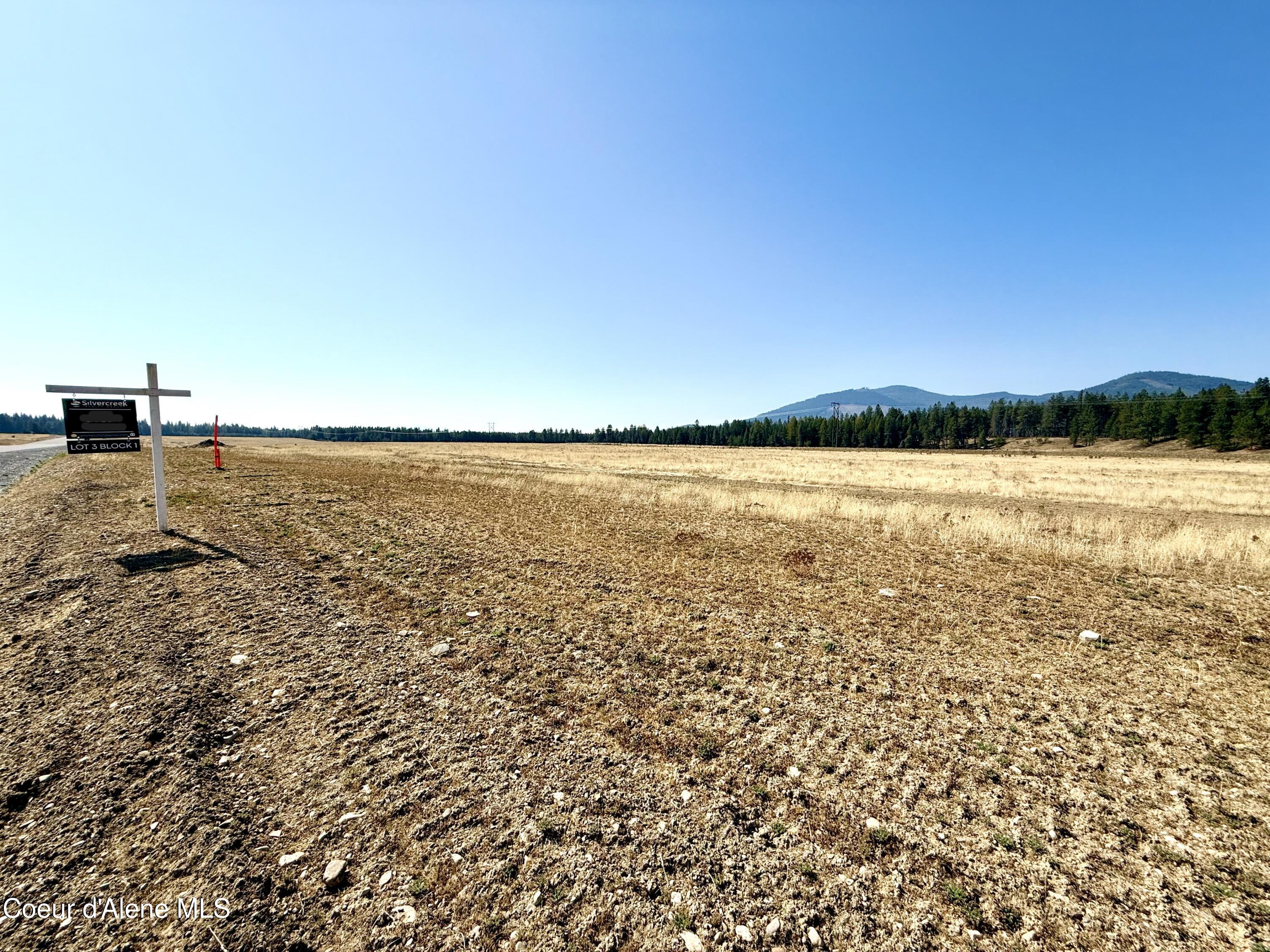 Nka North Stonemason Way Rathdrum, ID 83858 - Photo 3 of 8 Looking across the property
